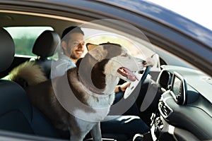 Happy man driving with his dog