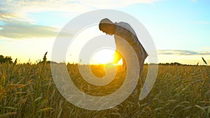 Happy man farmer walking in beautiful ripe wheat field at sunset or sunrise. Male farmer touching ear of wheat his farm