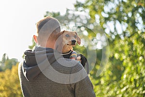 Happy man with his cute puppy in sweater in the park training, feeding, smiling