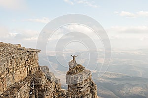 A happy man with his hands up high stands on top of a separately standing rock that is above the clouds against the