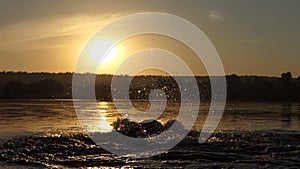 Happy man runs and swims breaststroke in a lake at sunset in slo-mo