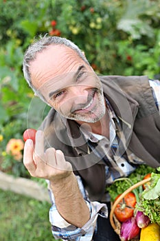 Happy man showing tomatoes from garden