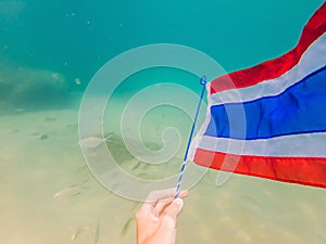 Happy man in snorkeling mask dive underwater with tropical fishes with thailand flag in coral reef sea pool. Travel