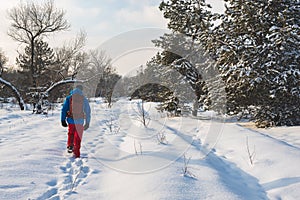 Happy man, traveler walking in the winter forest