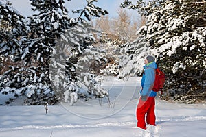 Happy man, traveler walking in the winter forest