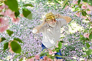 happy man under spring sakura blossom. senior man looking up. good memories of past. Human emotions and expressions