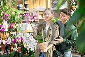 Happy married couple lovingly selects a flower pot with orchid flowers in flower shop