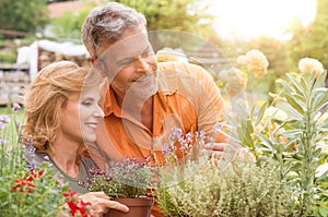 Happy Mature Couple Gardening