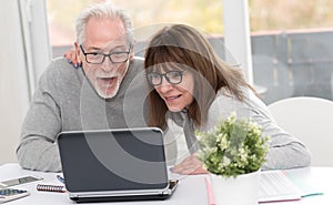 Happy mature couple having a good surprise on laptop