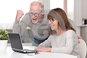 Happy mature couple having a good surprise on laptop