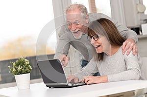 Happy mature couple having a good surprise on laptop