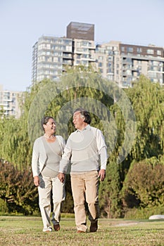 Happy Mature couple holding hands and walking in the park