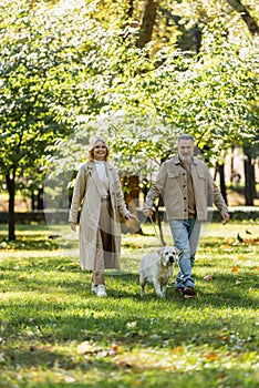 Happy mature couple with labrador looking