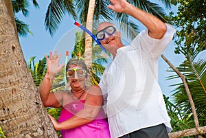 Happy mature couple with snorkeling gear waving
