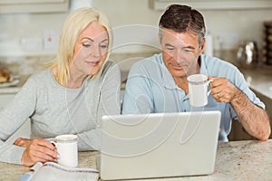 Happy mature couple using laptop