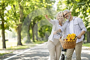 Happy Mature Couple Walking In Park With Retro Bike And Pointing Away