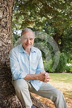 Happy mature man sitting on tree trunk