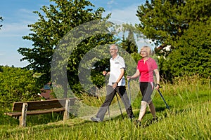 Happy mature or senior couple doing Nordic walking photo