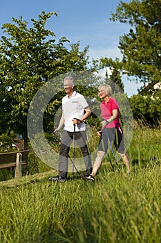 Happy mature or senior couple doing Nordic walking