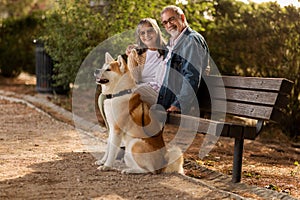 Happy mature woman and man in casual and sunglasses sit on bench with dog, enjoy walk in park