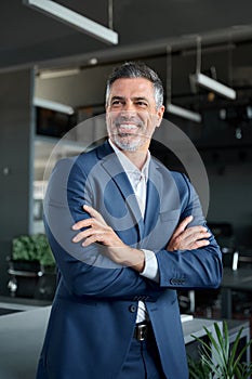 Happy middle aged business man standing in office, vertical portrait.