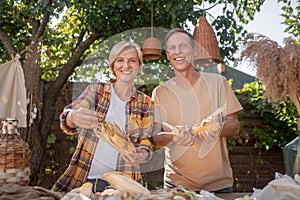 Happy middle-aged couple shucking corn in the garden, smiling