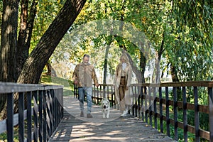 Happy middle aged couple walking near