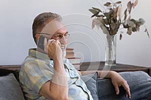 Happy middle aged man holding phone call conversation.