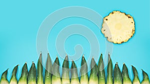 Happy minimalistic summer background with sun and gras on turquoise sky made by pineapple