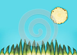 Happy minimalistic summer background with sun and gras on turquoise sky made by pineapple