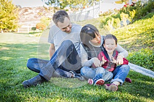 Happy Mixed Race Family Having Fun Outside on the Grass