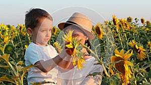 Happy mother and child are in the field of sunflowers in the sun. A little boy is looking at a bright yellow sunflower