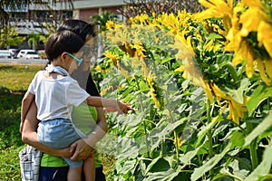 Happy mother and cute boy in sunflower field, outdoor activity of family in the morning