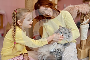 Happy mother and daughter playing with cat in animal shelter