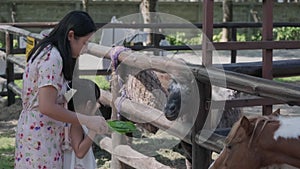 Happy mother and daughters feeding dwarf horse in zoo. Happy family having fun with animals safari park on warm summer day.