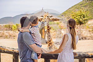 Happy mother, father and son watching and feeding giraffe in zoo. Happy family having fun with animals safari park on