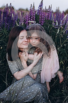 Happy mother and her little daughter in a field of lupins in summer. Mom holds her baby in arms