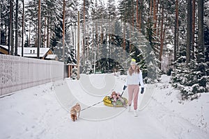 Happy mother and little cute girl in pink warm outwear walking having fun rides inflatable snow tube with red shiba inu dog in