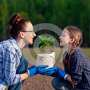 Happy mother and little daughter together holding in hands small green plant seedling in pot. Parent education for child of