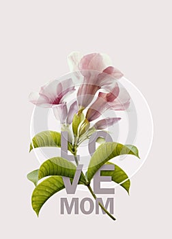 Happy Mother`s Day Calligraphy with  blossom flowers background.