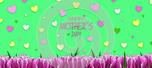 Happy Mother`s Day, Card. Beautiful tulips and colorful hearts on a green background. Flower background. Greeting card. Festive