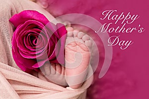 Happy Mother`s day. feet of the newborn baby with pink rose flower