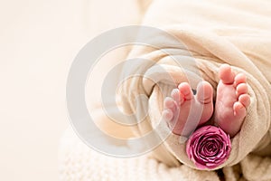 Happy Mother`s day. feet of the newborn baby with pink rose flower