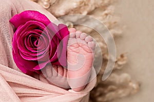 Happy Mother`s day. feet of the newborn baby with pink rose flower