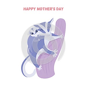 Happy Mother`s Day. Sugar glider with baby on a back