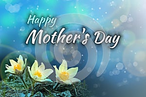 Happy mother`s day - text on celebratory background with flowers.
