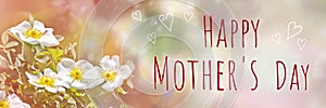 Happy mother`s day - text on celebratory background with flowers. Beautiful present concept