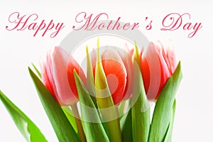 happy mother's day text sign on pink tulips on white rustic wooden background. greeting card concept. sensual tender women image.