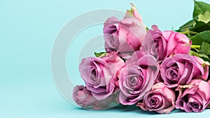 Happy Mother`s Day, Women`s Day, Valentine`s Day or Birthday Background. Greeting card with beautiful fresh pink roses.