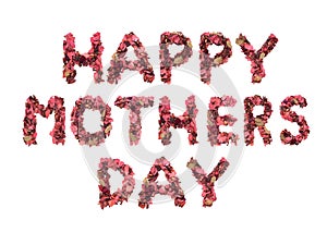 Happy Mother's Day wording from red dried flowers